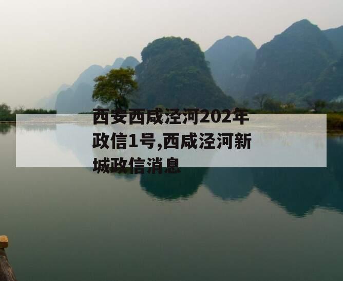 西安西咸泾河202年政信1号,西咸泾河新城政信消息