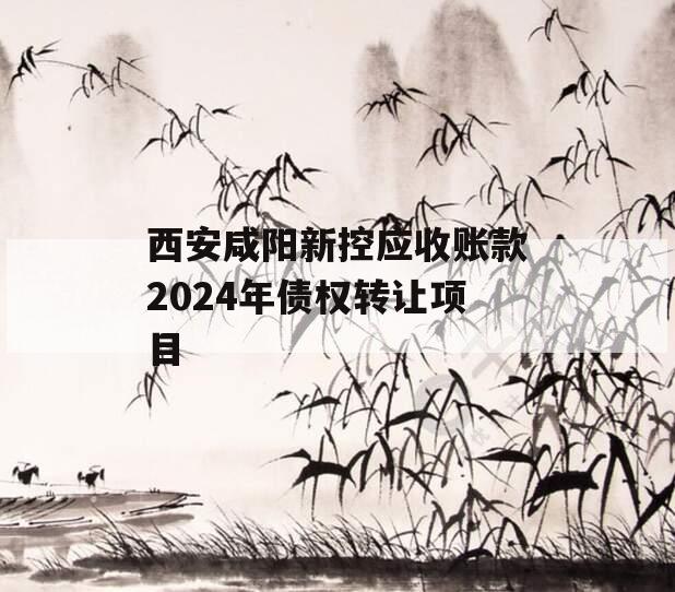 西安咸阳新控应收账款2024年债权转让项目