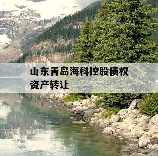 山东青岛海科控股债权资产转让