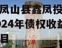 广西凤山县鑫凤投资发展2024年债权收益权项目