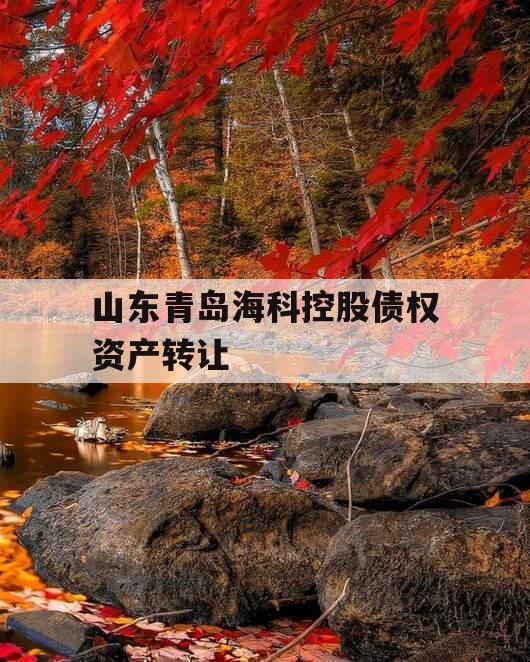 山东青岛海科控股债权资产转让