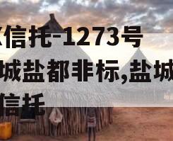 XX信托-1273号盐城盐都非标,盐城大丰信托