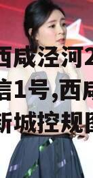 西安西咸泾河2024年政信1号,西咸新区泾河新城控规图