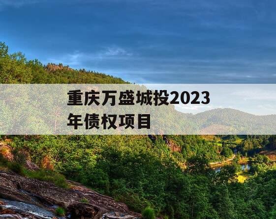 重庆万盛城投2023年债权项目