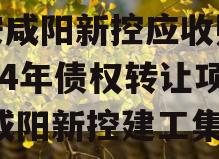 西安咸阳新控应收账款2024年债权转让项目,咸阳新控建工集团