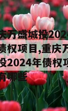 重庆万盛城投2024年债权项目,重庆万盛城投2024年债权项目有哪些