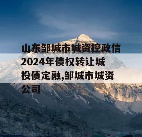 山东邹城市城资控政信2024年债权转让城投债定融,邹城市城资公司