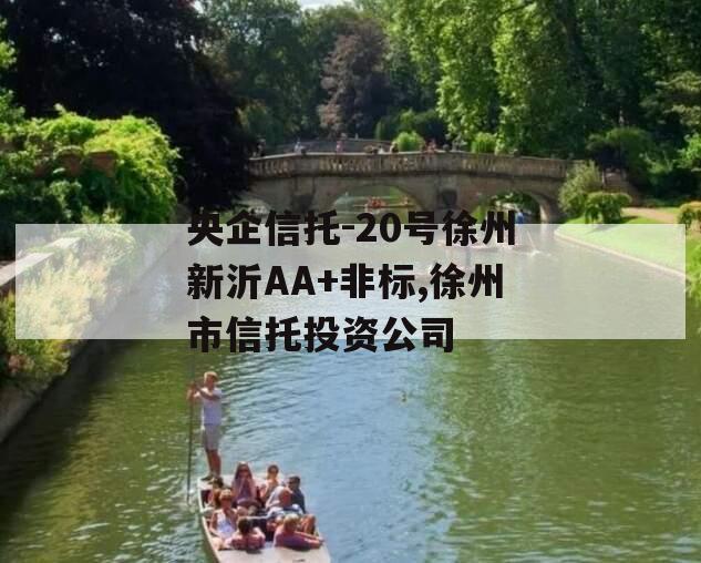 央企信托-20号徐州新沂AA+非标,徐州市信托投资公司