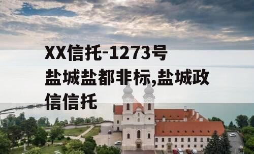 XX信托-1273号盐城盐都非标,盐城政信信托