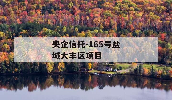 央企信托-165号盐城大丰区项目