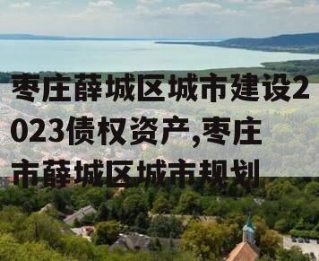 枣庄薛城区城市建设2023债权资产,枣庄市薛城区城市规划