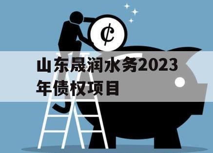 山东晟润水务2023年债权项目