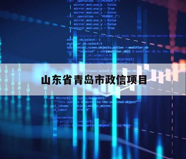 山东省青岛市政信项目