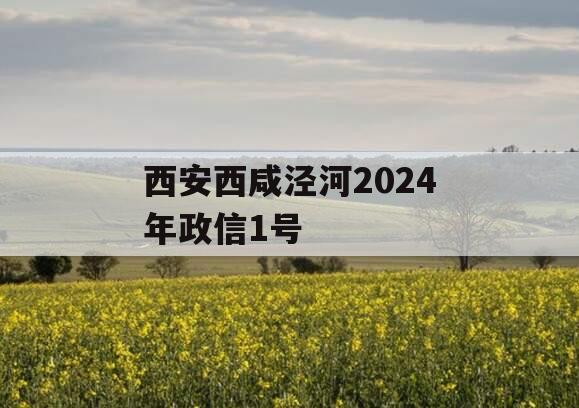 西安西咸泾河2024年政信1号