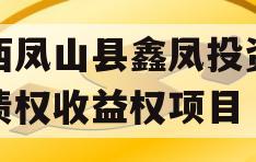 广西凤山县鑫凤投资发展债权收益权项目