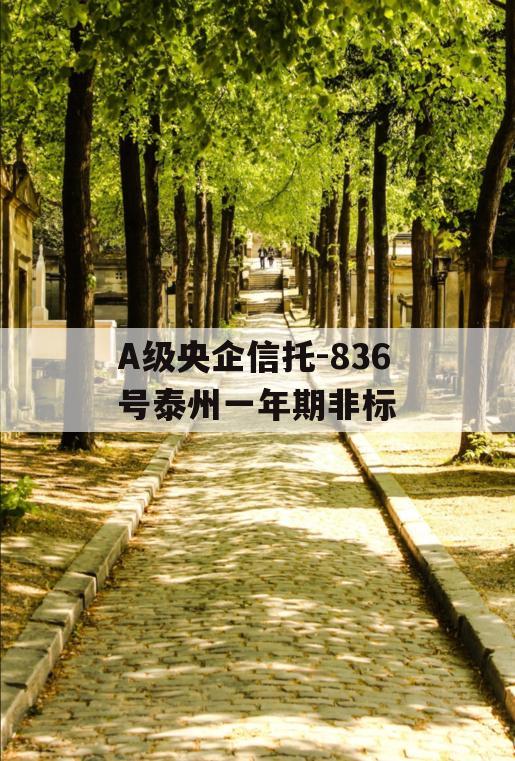 A级央企信托-836号泰州一年期非标