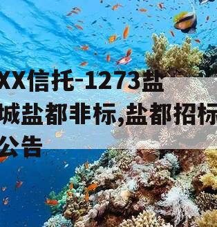 XX信托-1273盐城盐都非标,盐都招标公告