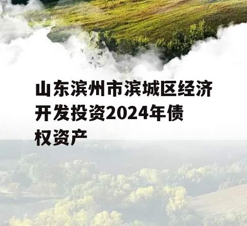 山东滨州市滨城区经济开发投资2024年债权资产