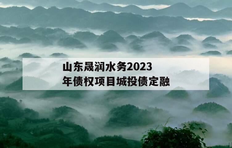 山东晟润水务2023年债权项目城投债定融