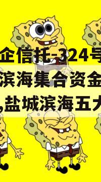 大央企信托-324号盐城滨海集合资金信托计划,盐城滨海五大央企