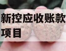 咸阳新控应收账款债权转让项目