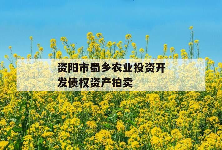 资阳市蜀乡农业投资开发债权资产拍卖