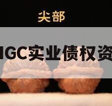 JNGC实业债权资产