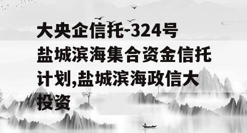 大央企信托-324号盐城滨海集合资金信托计划,盐城滨海政信大投资