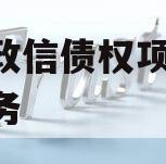 临沂政信债权项目,临沂债务