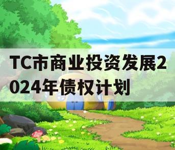 TC市商业投资发展2024年债权计划