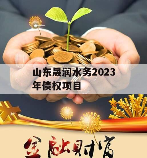 山东晟润水务2023年债权项目