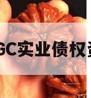 JNGC实业债权资产