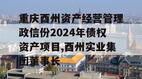 重庆酉州资产经营管理政信份2024年债权资产项目,酉州实业集团董事长