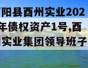 酉阳县酉州实业2024年债权资产1号,酉州实业集团领导班子成员