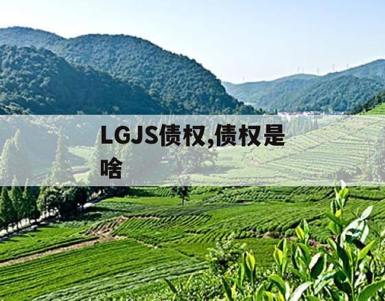 LGJS债权,债权是啥