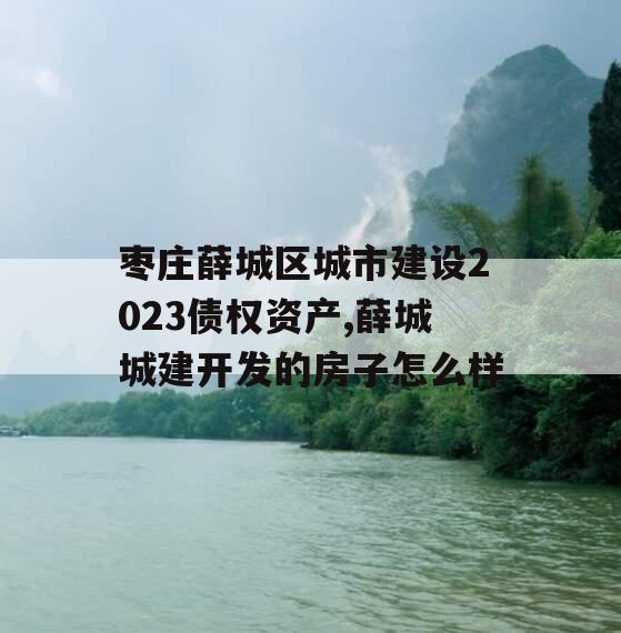 枣庄薛城区城市建设2023债权资产,薛城城建开发的房子怎么样