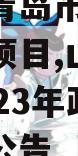 山东省青岛市2023年政信项目,山东省青岛市2023年政信项目招标公告