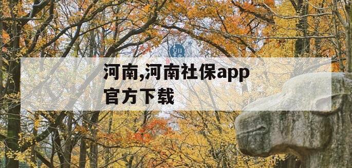 河南,河南社保app官方下载