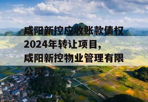 咸阳新控应收账款债权2024年转让项目,咸阳新控物业管理有限公司