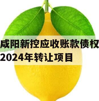 咸阳新控应收账款债权2024年转让项目