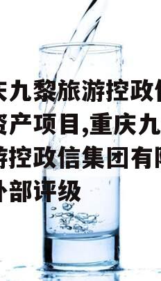 重庆九黎旅游控政信债权资产项目,重庆九黎旅游控政信集团有限公司外部评级