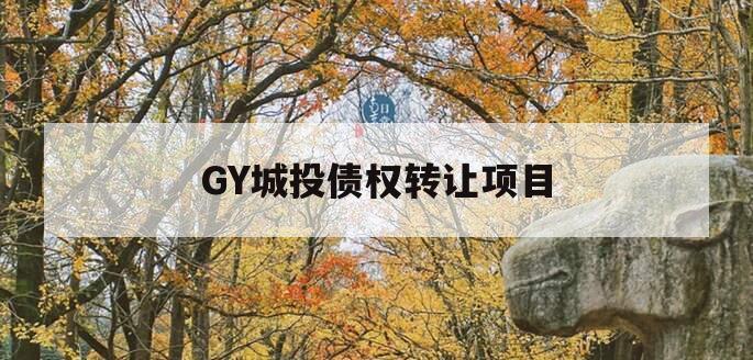 GY城投债权转让项目