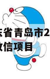 山东省青岛市2023年政信项目