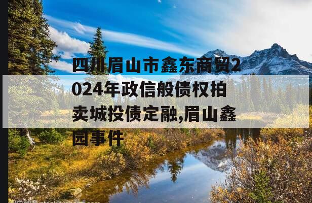 四川眉山市鑫东商贸2024年政信般债权拍卖城投债定融,眉山鑫园事件