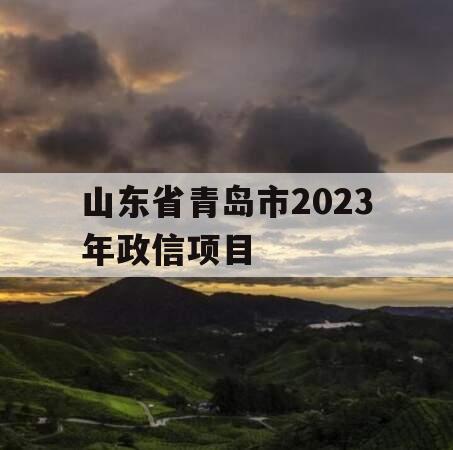 山东省青岛市2023年政信项目