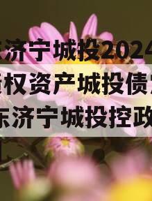 山东济宁城投2024年债权资产城投债定融,山东济宁城投控政信集团