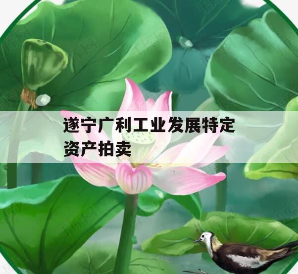 遂宁广利工业发展特定资产拍卖