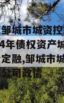 山东邹城市城资控政信2024年债权资产城投债定融,邹城市城资有限公司政信