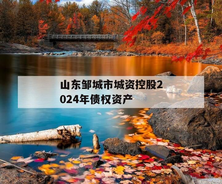 山东邹城市城资控股2024年债权资产