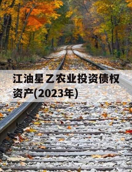 江油星乙农业投资债权资产(2023年)